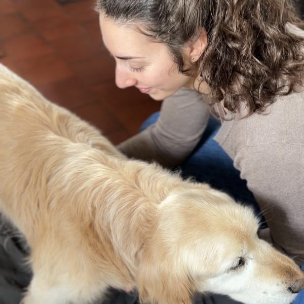 ostéopathie vieux chien