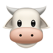Ostéopathie bovine