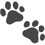 Animaux de compagnie