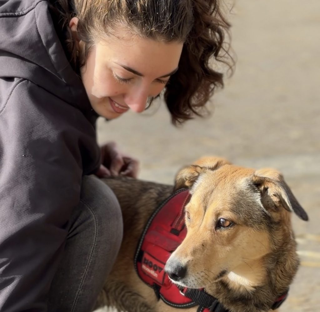 Consultation en ostéopathie canine en Normandie